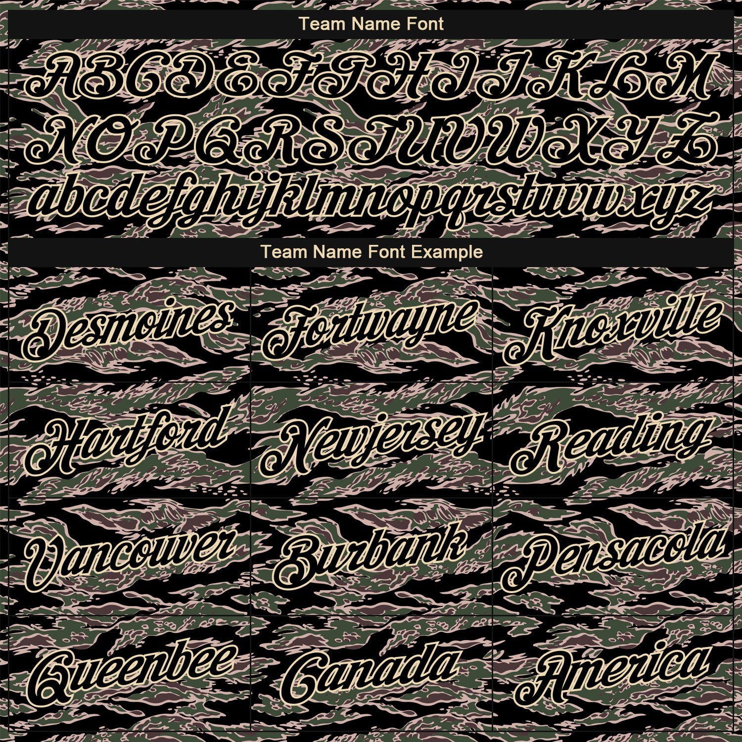 Custom Camo Black-Cream Performance Salute To Service T-Shirt